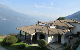 Lucy'S House